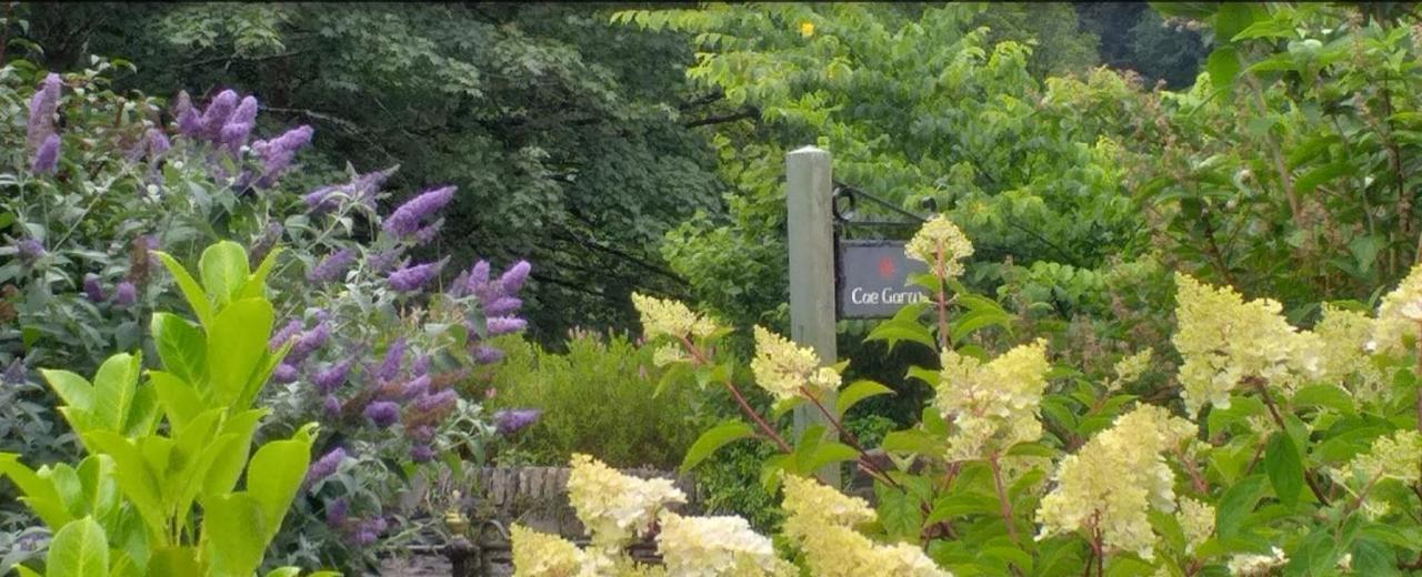 בטווס אי קואד Cae Garw B&B מראה חיצוני תמונה